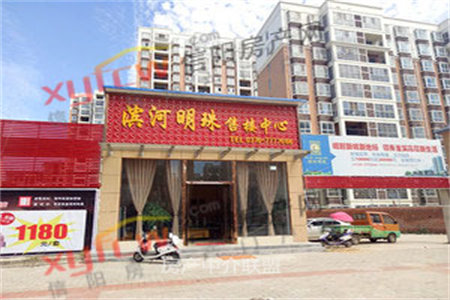 精装修未入住新六大街植物园旁一楼带花园电梯洋房可按揭